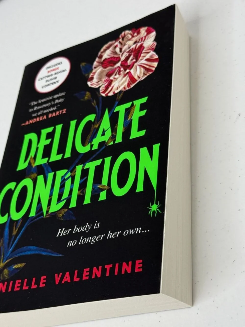 Delicate Condition Danielle Valentine New Paperback